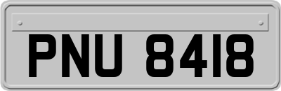 PNU8418