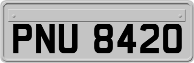 PNU8420