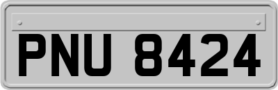 PNU8424