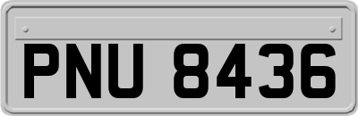PNU8436