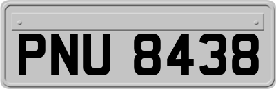 PNU8438