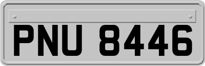 PNU8446