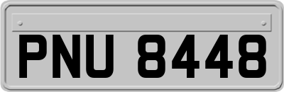 PNU8448