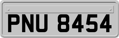 PNU8454