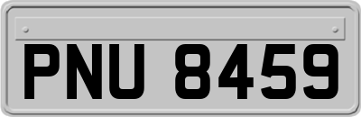 PNU8459