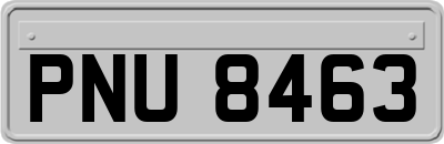 PNU8463