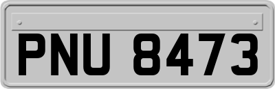 PNU8473