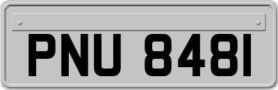 PNU8481