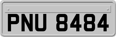 PNU8484
