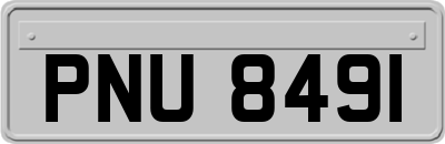 PNU8491