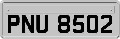PNU8502