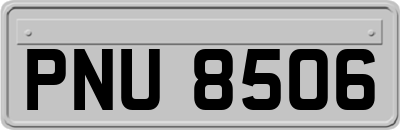PNU8506