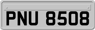 PNU8508