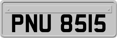 PNU8515