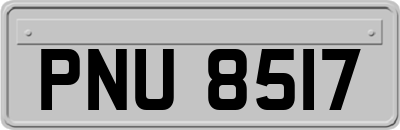 PNU8517