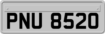 PNU8520