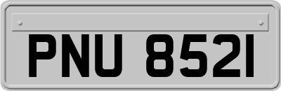PNU8521