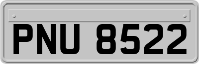 PNU8522
