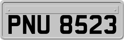 PNU8523