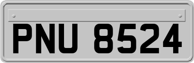 PNU8524