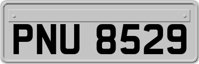 PNU8529