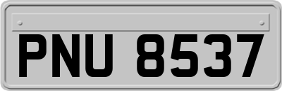 PNU8537