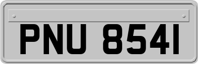 PNU8541