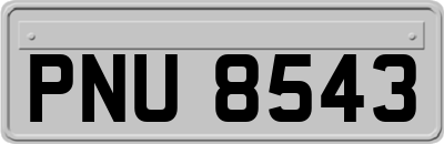 PNU8543