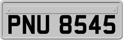 PNU8545