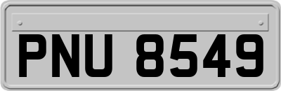 PNU8549