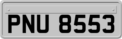 PNU8553