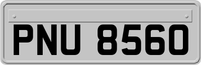 PNU8560