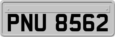 PNU8562