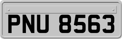 PNU8563