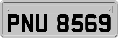 PNU8569