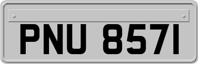 PNU8571