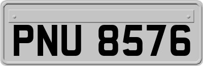 PNU8576