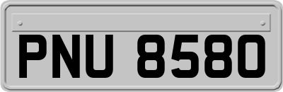 PNU8580