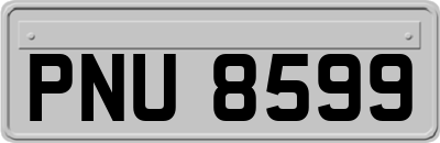 PNU8599