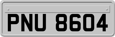 PNU8604