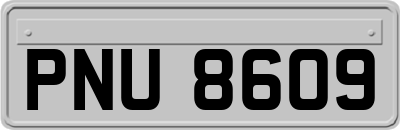 PNU8609