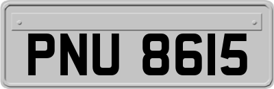 PNU8615