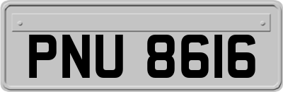 PNU8616