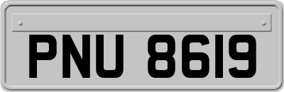 PNU8619
