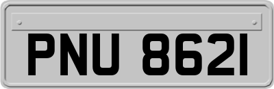 PNU8621