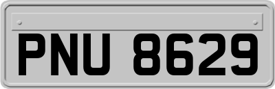PNU8629