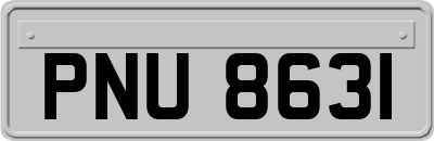 PNU8631