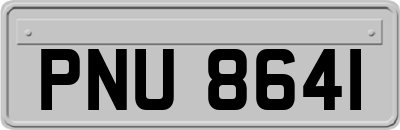 PNU8641