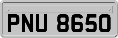 PNU8650