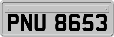 PNU8653